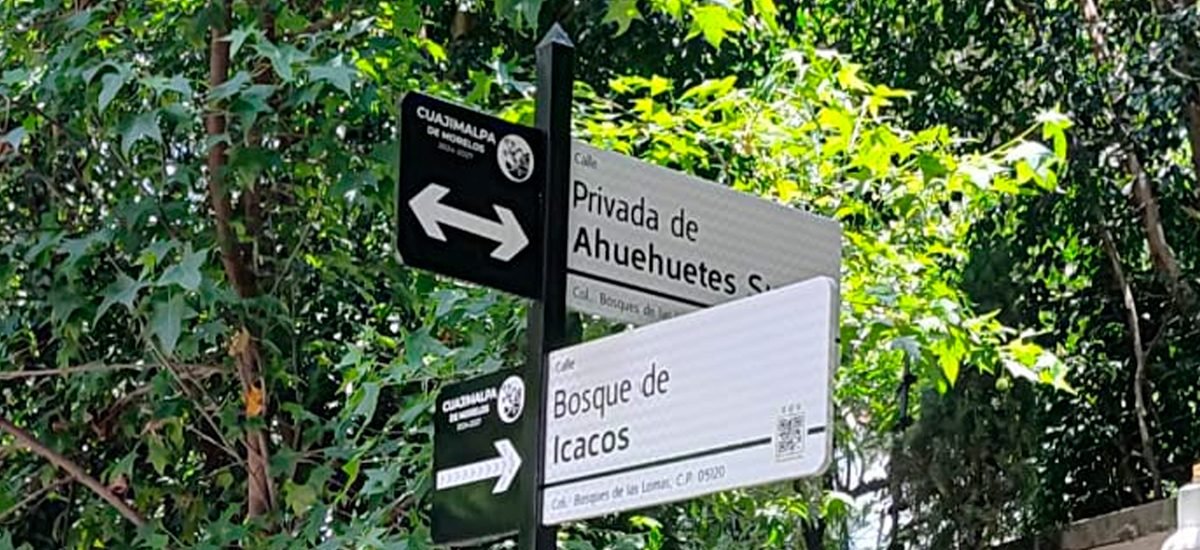 Nomenclaturas